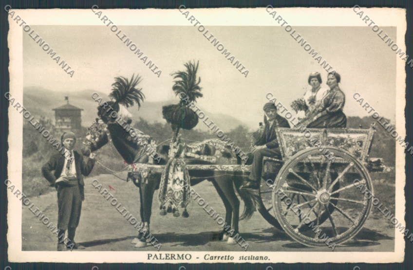 Palermo Carretto Siciliano Asino cartolina ZT8391 – fronte