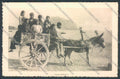 Palermo Carretto Siciliano Asino cartolina ZT8396 – fronte