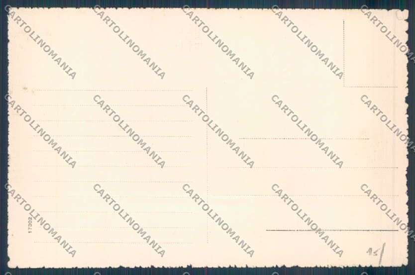Palermo Carretto Siciliano Asino cartolina ZT8396 – retro
