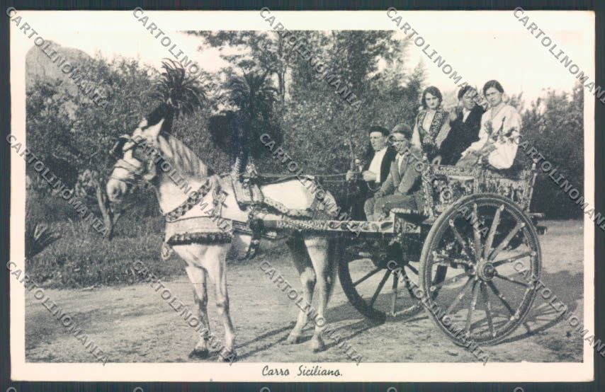 Palermo Carretto Siciliano Asino cartolina ZT8397 – fronte