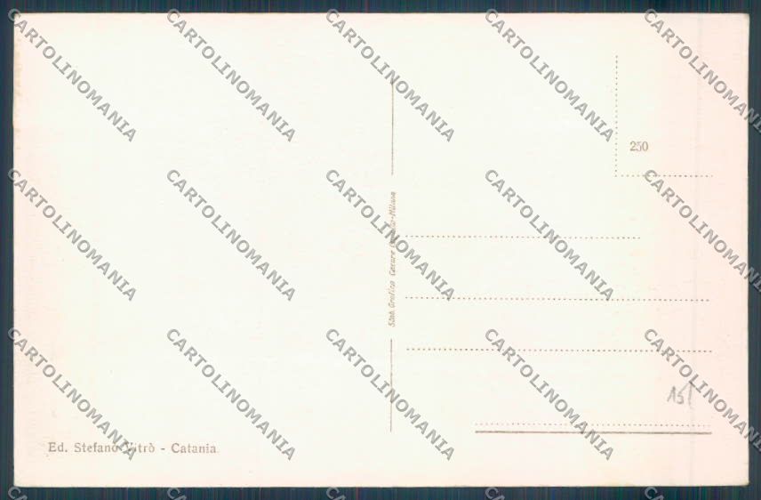 Palermo Carretto Siciliano Asino cartolina ZT8397 – retro