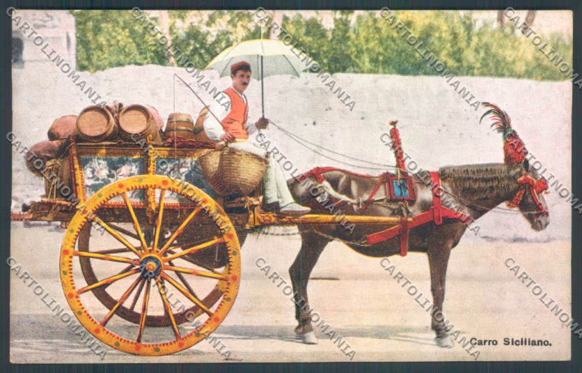Palermo Carretto Siciliano Asino cartolina ZT8403 – fronte