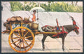 Palermo Carretto Siciliano Asino cartolina ZT8412 – fronte
