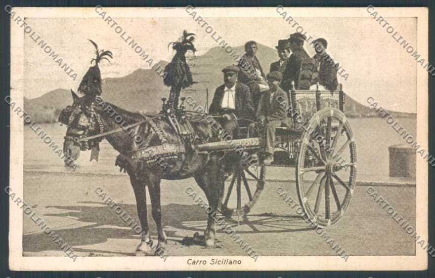 Palermo Carretto Siciliano Asino cartolina ZT8421 – fronte
