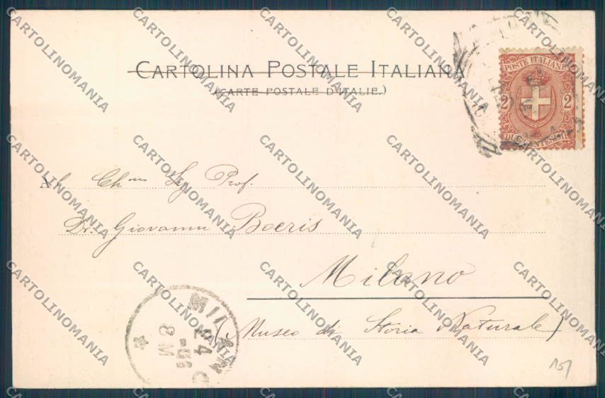 Palermo Carretto Siciliano Asino cartolina ZT8422 – retro