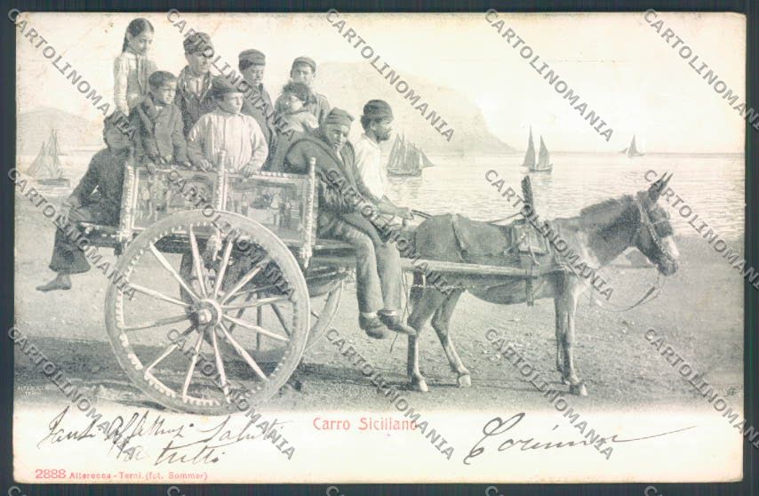 Palermo Carretto Siciliano Alterocca Asino cartolina ZT8426 – fronte