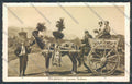 Palermo Carretto Siciliano Asino cartolina ZT8428 – fronte