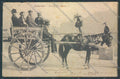 Palermo Carretto Siciliano ABRASA Asino cartolina ZT8434 – fronte