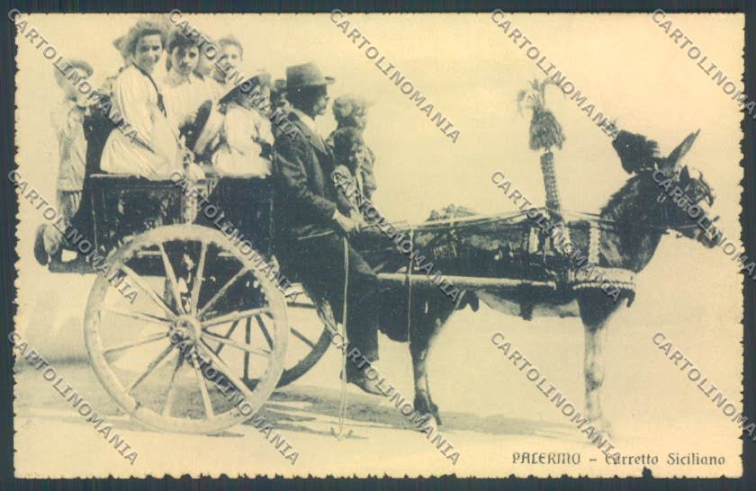 Palermo Carretto Siciliano Asino cartolina ZT8435 – fronte