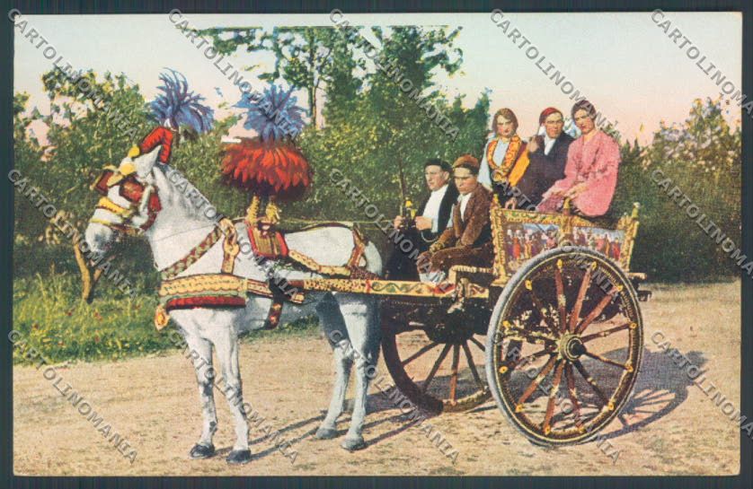 Palermo Carretto Siciliano Asino cartolina ZT8437 – fronte