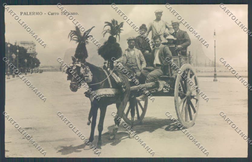Palermo Carretto Siciliano Asino Foto cartolina ZT8440 – fronte