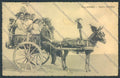 Palermo Carretto Siciliano Asino cartolina ZT8446 – fronte