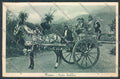 Palermo Carretto Siciliano cartolina ZT8451 – fronte