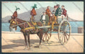 Palermo Carretto Siciliano Asino cartolina ZT8455 – fronte