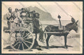 Palermo Carretto Siciliano Asino cartolina ZT8459 – fronte