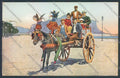 Palermo Carretto Siciliano Asino cartolina ZT8462 – fronte