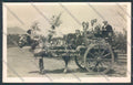 Palermo Carretto Siciliano Asino Foto cartolina ZT8465 – fronte
