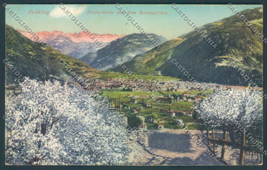 Bolzano Città cartolina ZT8505 – fronte