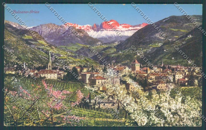 Bolzano Città cartolina ZT8508 – fronte