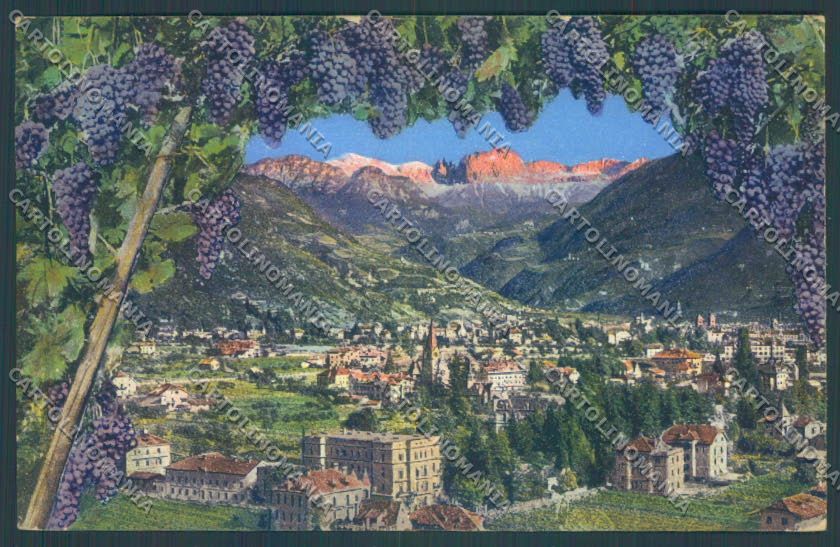 Bolzano Città cartolina ZT8549 – fronte