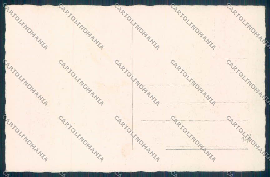 Bolzano Città cartolina ZT8559 – retro