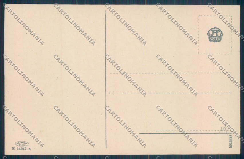 Bolzano Città cartolina ZT8563 – retro