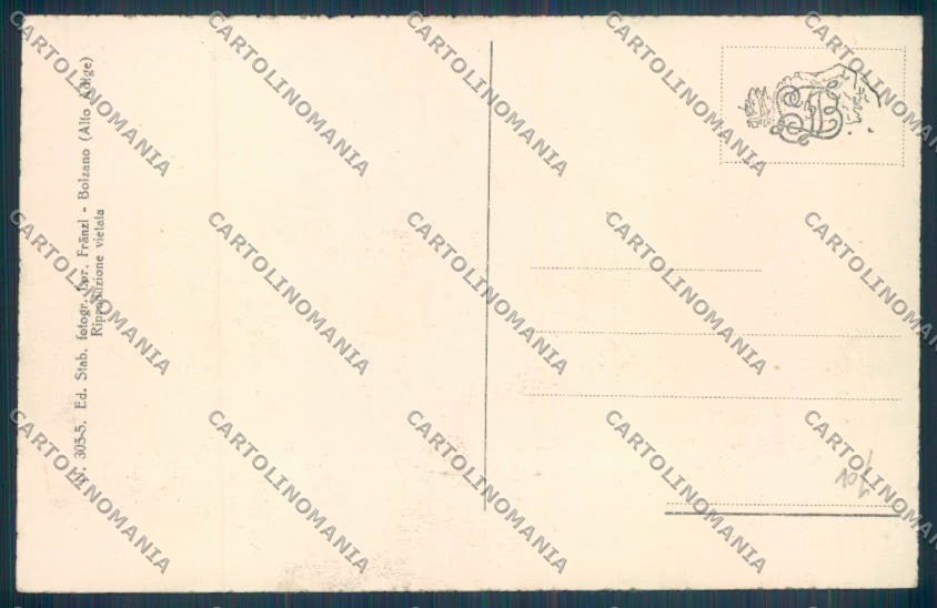 Bolzano Città cartolina ZT8596 – retro