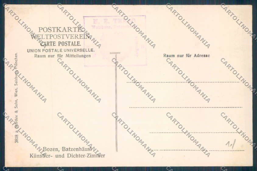 Bolzano Città cartolina ZT8606 – retro
