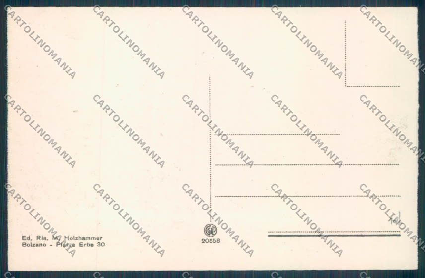 Bolzano Città cartolina ZT8609 – retro