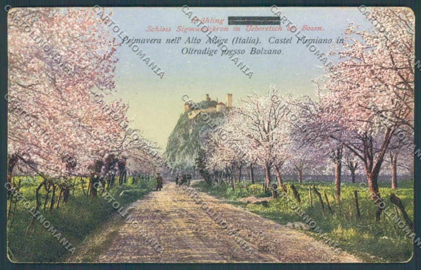 Bolzano Città cartolina ZT8622 – fronte
