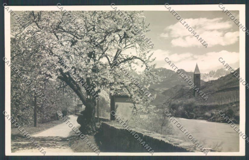 Bolzano Città Foto cartolina ZT8634 – fronte