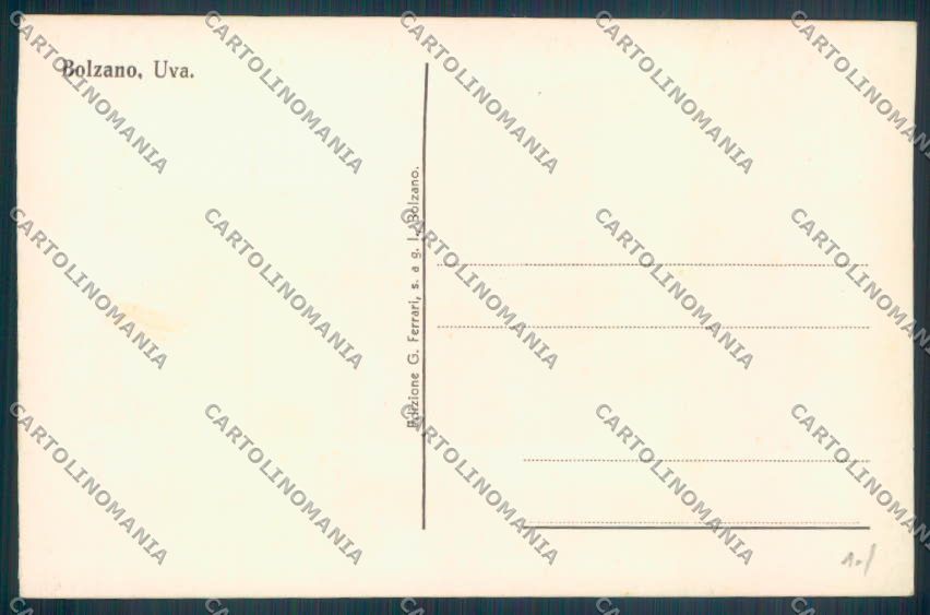 Bolzano Città Foto cartolina ZT8650 – retro