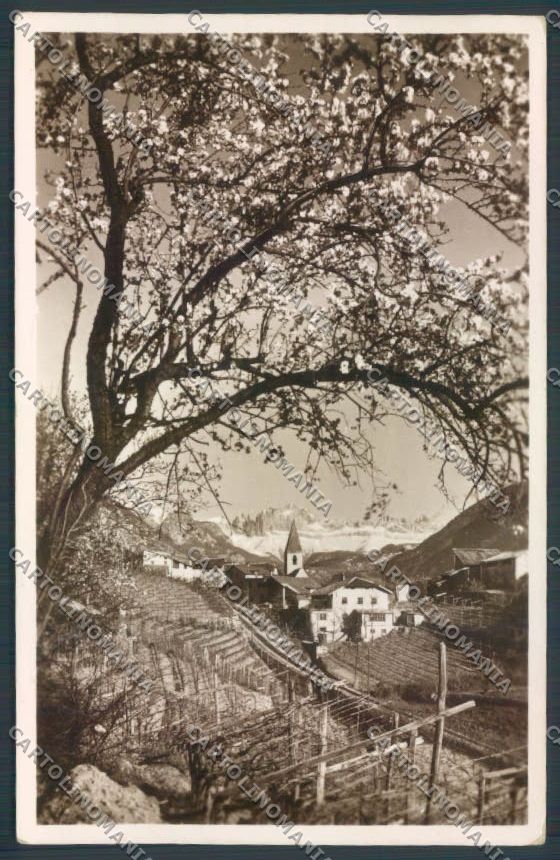 Bolzano Città Foto cartolina ZT8671 – fronte