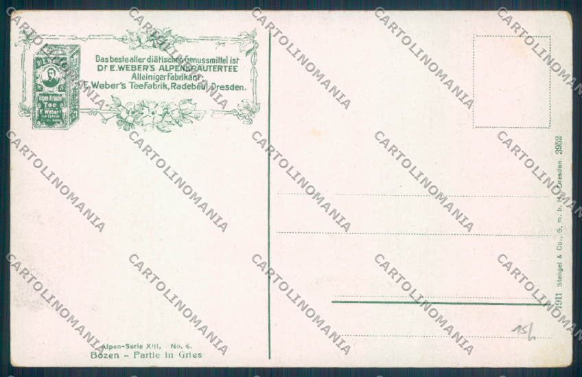 Bolzano Città cartolina ZT8686 – retro