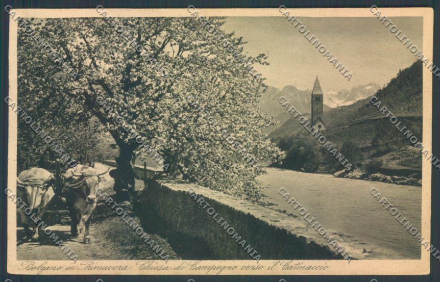 Bolzano Città cartolina ZT8700 – fronte