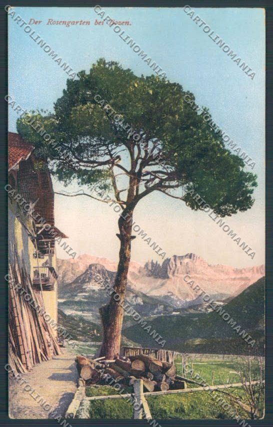 Bolzano Città cartolina ZT8715 – fronte