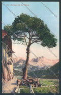 Bolzano Città cartolina ZT8715 – fronte