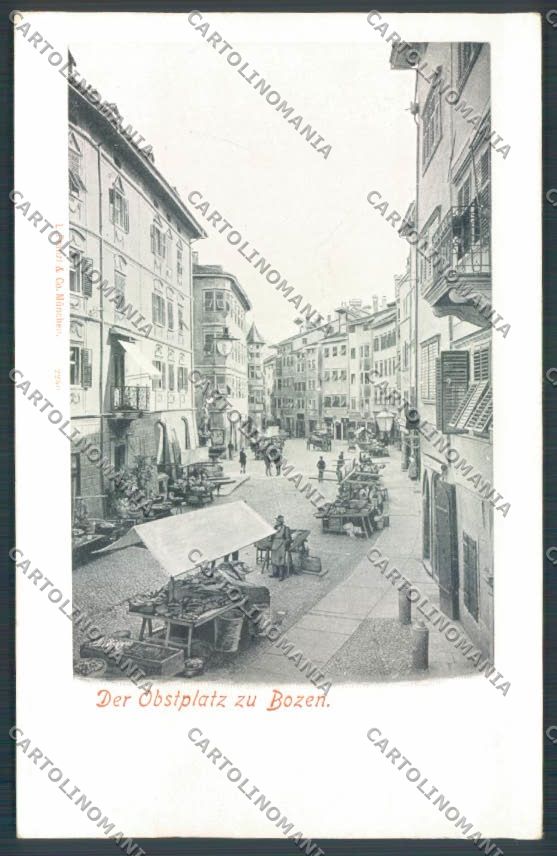 Bolzano Città Mercato cartolina ZT8775 – fronte