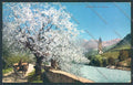 Bolzano Città cartolina ZT8778 – fronte