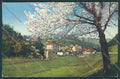 Bolzano Città cartolina ZT8783 – fronte