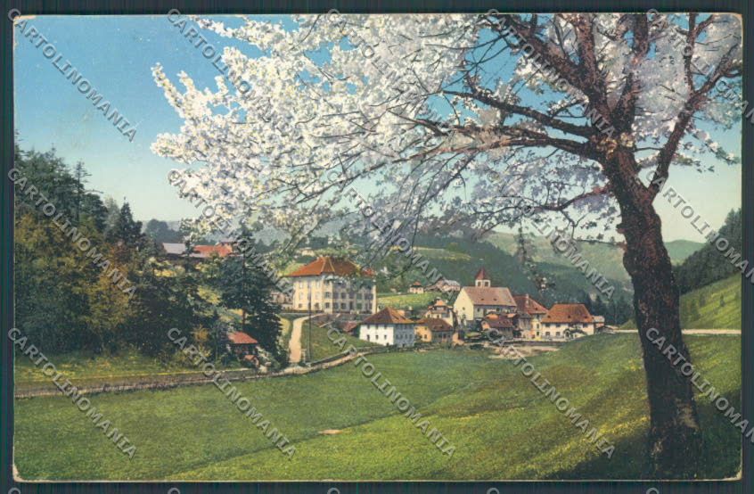 Bolzano Città cartolina ZT8783 – fronte