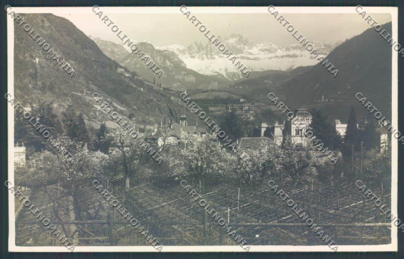 Bolzano Città Foto cartolina ZT8793 – fronte