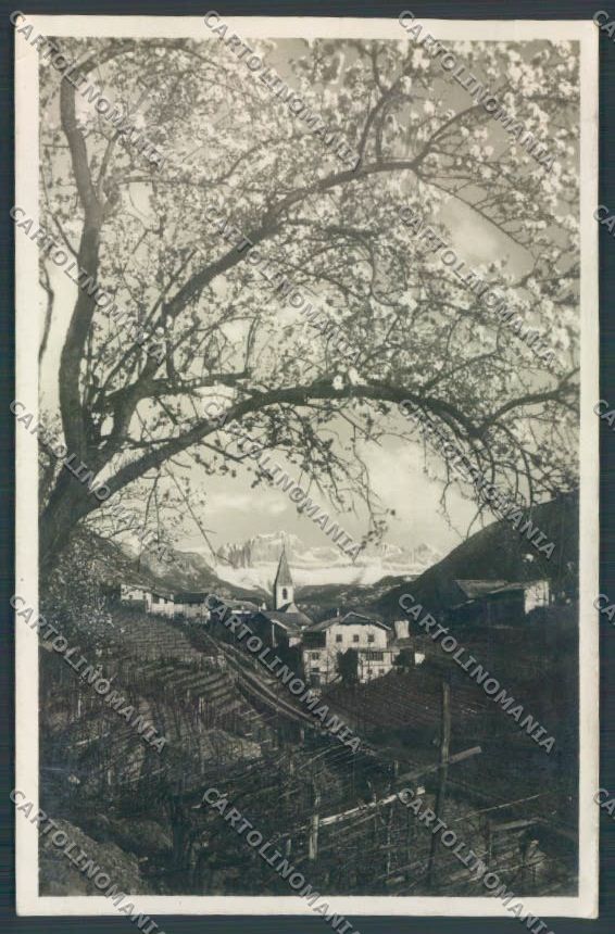 Bolzano Città Foto cartolina ZT8801 – fronte