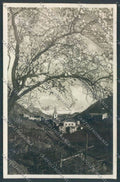 Bolzano Città Foto cartolina ZT8801 – fronte