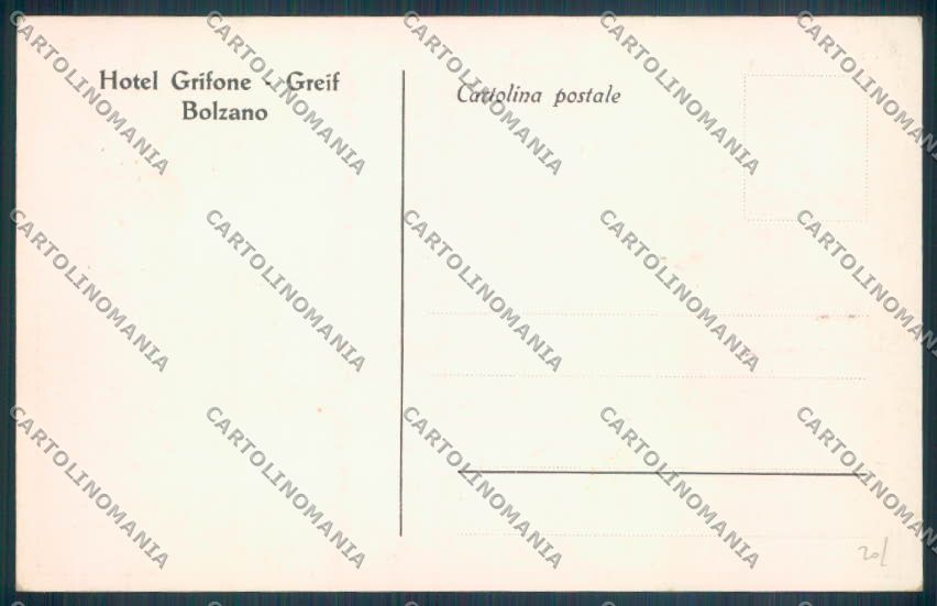 Bolzano Città cartolina ZT8882 – retro