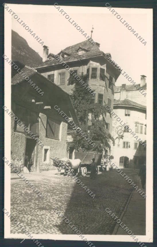 Bolzano Città Foto cartolina ZT8913 – fronte