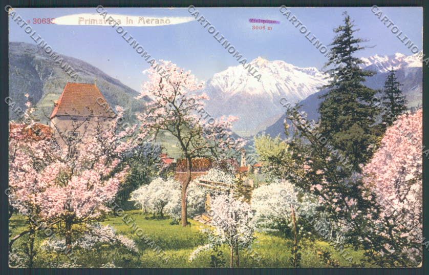 Bolzano Merano cartolina ZT8962 – fronte