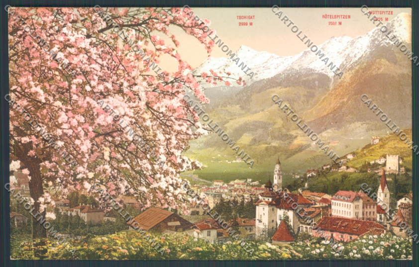 Bolzano Merano cartolina ZT9052 – fronte