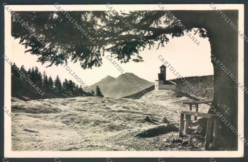 Bolzano Merano Foto cartolina ZT9117 – fronte