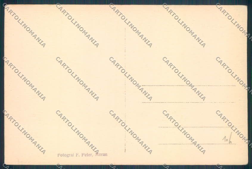 Bolzano Merano Foto cartolina ZT9120 – retro